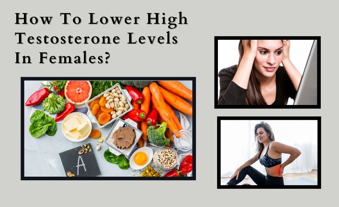 How To Reduce High Testosterone Levels In Females