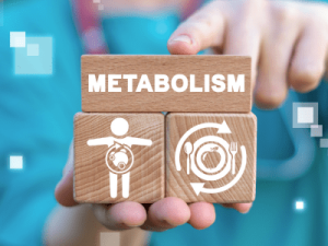 Metabolism